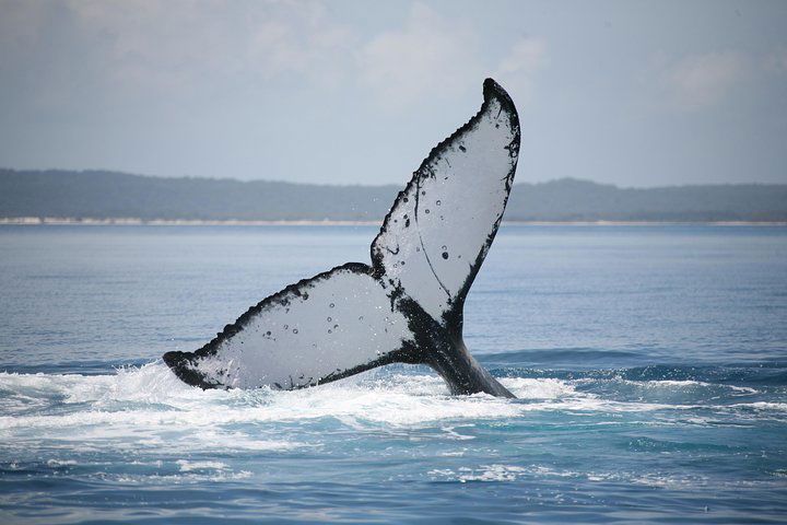  Lennox Head Accommodation