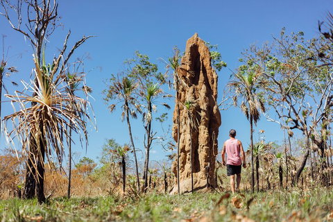 Litchfield National Park Waterfalls And Wildlife Tour From Darwin - Lennox Head Accommodation 4