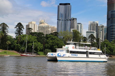 Lone Pine Koala Sanctuary Admission With Brisbane River Cruise - Lennox Head Accommodation 2