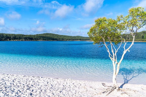 Lake McKenzie Full-Day Tour With Lunch From Hervey Bay - Lennox Head Accommodation 1
