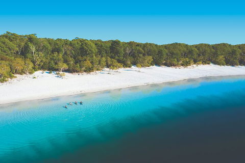 Lake McKenzie Full-Day Tour With Lunch From Hervey Bay - Lennox Head Accommodation 4