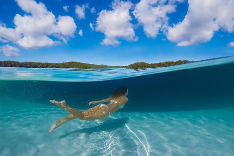 Lake McKenzie Full-Day Tour With Lunch From Hervey Bay - Lennox Head Accommodation 5