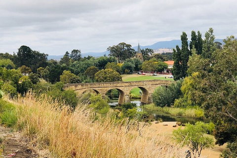 Day Tour In Mt. Field, Mt. Wellington, Bonorong Wildlife Sanctuary And Richmond - Lennox Head Accommodation 3