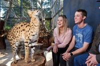 Book Viator Accommodation Vacations Lennox Head Accommodation Lennox Head Accommodation