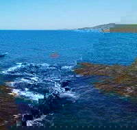 Julian Rocks Byron Bay Cruise - Lennox Head Accommodation