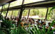 Hartley's Crocodile Adventures General Entry Ticket - thumb 3