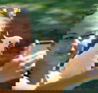 2-Day Melbourne to Adelaide Tour Great Ocean Road and Grampians One Way Trip - Lennox Head Accommodation