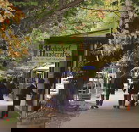 Adelaide Highlights Hahndorf  McLaren Vale Wine Tasting and Sightseeing Tour - Lennox Head Accommodation