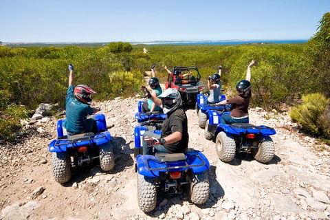 Kangaroo Island Quad Bike (ATV) Tours - Lennox Head Accommodation 3