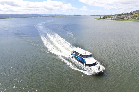 2.50 Hour Afternoon Discovery Cruise Including Cataract Gorge Departing At 3 Pm - Lennox Head Accommodation 0