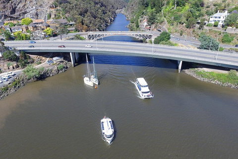 2.50 Hour Afternoon Discovery Cruise Including Cataract Gorge Departing At 3 Pm - Lennox Head Accommodation 1