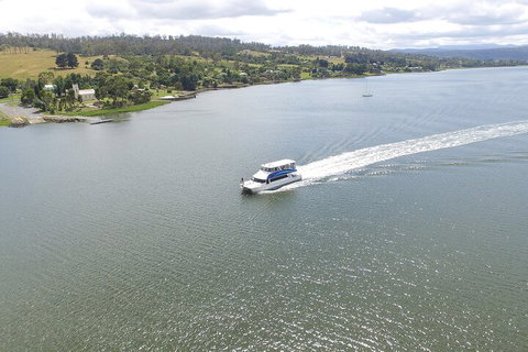 2.50 Hour Afternoon Discovery Cruise Including Cataract Gorge Departing At 3 Pm - Lennox Head Accommodation 4