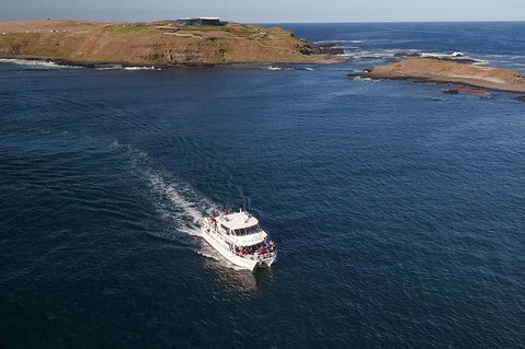 Phillip Island Seal-Watching Cruise - Lennox Head Accommodation 1