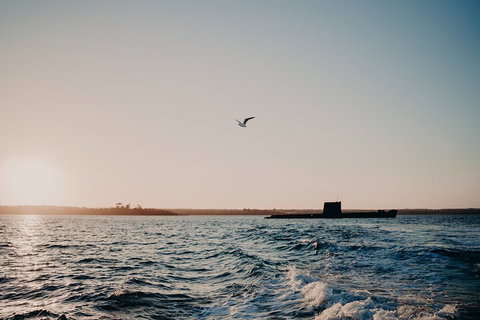 Phillip Island Twilight Cruise - Lennox Head Accommodation 1