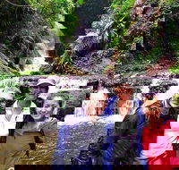 Exclusive Private Tour - Design your own - Lennox Head Accommodation