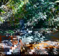 Aquaduck  Your choice of Gold Coast Rainforest Tour - Lennox Head Accommodation