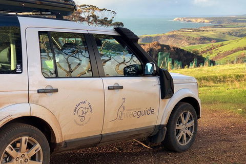 Kangaroo Island 4WD Tour - Best Of KI In 2 Days - Lennox Head Accommodation 4