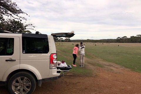 Kangaroo Island 4WD Tour - Flinders Chase - Lennox Head Accommodation 3