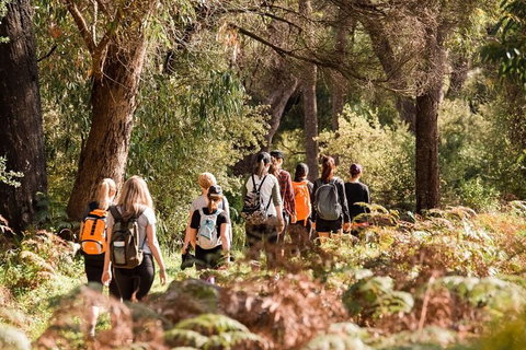 Half-Day Yanchep Ghost House Wilderness Guided Hike Tour - Lennox Head Accommodation 0