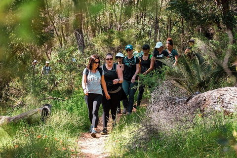 Half-Day Yanchep Ghost House Wilderness Guided Hike Tour - Lennox Head Accommodation 3