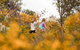 Half-Day Yanchep Ghost House Wilderness Guided Hike Tour - thumb 4