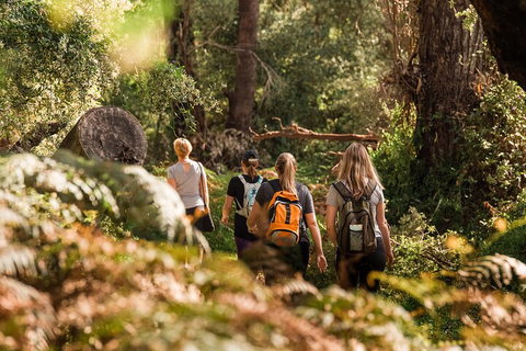 Half-Day Yanchep Ghost House Wilderness Guided Hike Tour - Lennox Head Accommodation 5