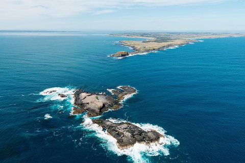 Phillip Island Helicopter Tour - Lennox Head Accommodation 2