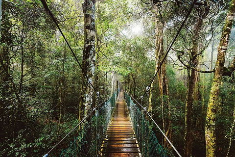 O'Reilly's & Lamington National Park From Gold Coast - Lennox Head Accommodation 0