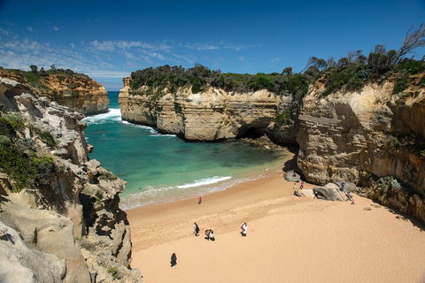 LGBT+ Friendly 12-Hour Great Ocean Road Private Tour - Lennox Head Accommodation 5