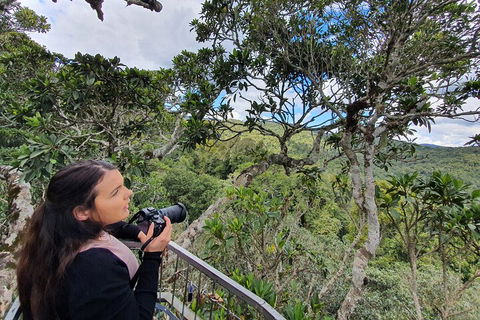 Lamington National Park, O'Reilly's & Vineyard Tour - Lennox Head Accommodation 1