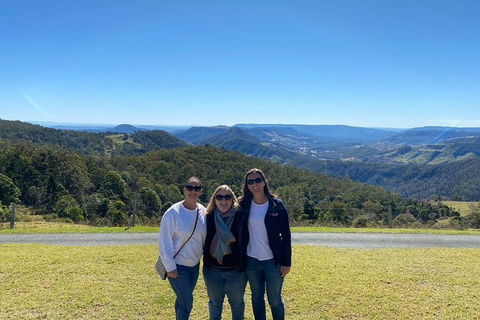Lamington National Park, O'Reilly's & Vineyard Tour - Lennox Head Accommodation 3