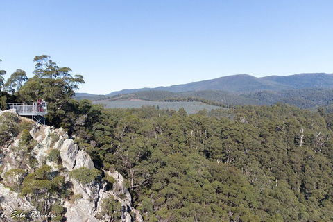 Leven Canyon Day Trip Including Wings Wildlife Park Or Gunns Plains Caves - Lennox Head Accommodation 2
