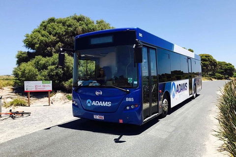 Rottnest Bayseeker Bus Tour From Hillarys Boat Harbour - Lennox Head Accommodation 0