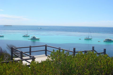 Rottnest Bayseeker Bus Tour From Hillarys Boat Harbour - Lennox Head Accommodation 3