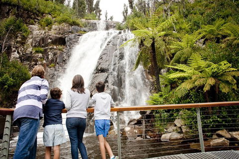 Lake Mountain Snow Trip Including Yarra Valley Chocolaterie From Melbourne - Lennox Head Accommodation 0