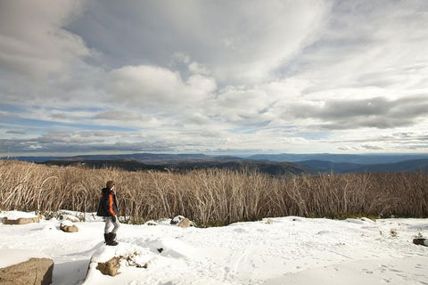 Lake Mountain Snow Trip Including Yarra Valley Chocolaterie From Melbourne - Lennox Head Accommodation 5
