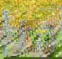 Margaret River Indulge and Discover Day Tour - Lennox Head Accommodation