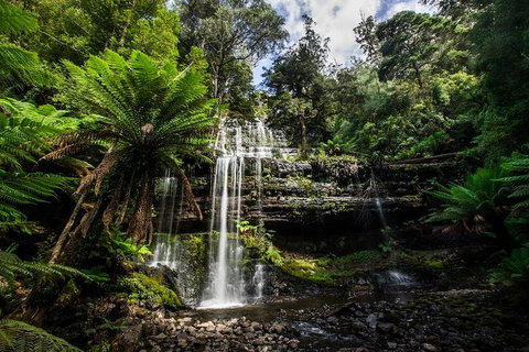 3-Day Tour To The Falls, Mountains, Lake & More Of West Coast Tasmania - Lennox Head Accommodation 4