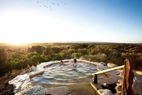 Peninsula Hot Springs & Wine Tasting - Day Tour - Lennox Head Accommodation 0