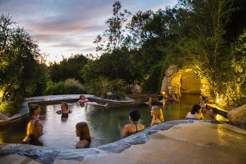 Peninsula Hot Springs & Wine Tasting - Day Tour - Lennox Head Accommodation 3