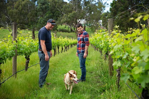 LGBT+ Friendly Full Day Yarra Valley & Dandenong Ranges Private Tour - Lennox Head Accommodation 4