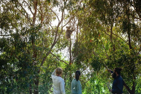LGBT+ Friendly 3 Day Tour The Grampians, Daylesford & Ballarat - Lennox Head Accommodation 4