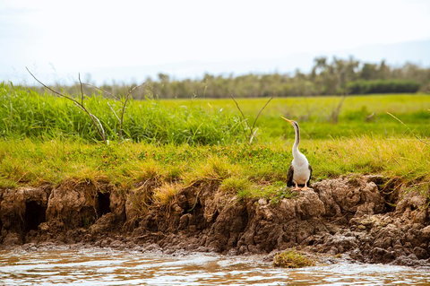 Darwin City Sights And Jumping Crocodile Cruise - Lennox Head Accommodation 2