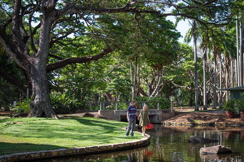 Darwin City Sights And Jumping Crocodile Cruise - Lennox Head Accommodation 5
