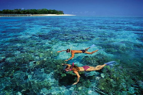 Green Island Day Trip From Cairns - Lennox Head Accommodation 5