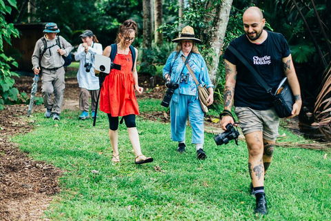 Let's Go Buggin & Let's Go Shroomin - Photography & Nature Walking Tours - Lennox Head Accommodation 0