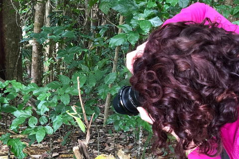 Let's Go Buggin & Let's Go Shroomin - Photography & Nature Walking Tours - Lennox Head Accommodation 1