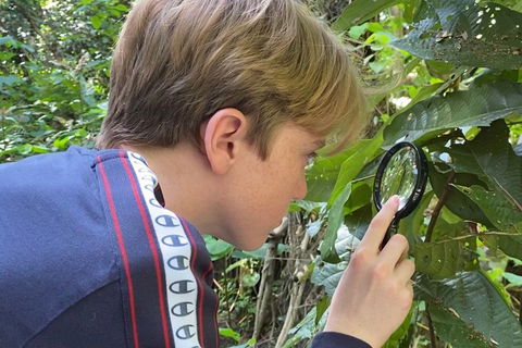 Let's Go Buggin & Let's Go Shroomin - Photography & Nature Walking Tours - Lennox Head Accommodation 3
