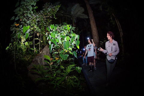 Let's Go Buggin & Let's Go Shroomin - Photography & Nature Walking Tours - Lennox Head Accommodation 4