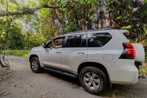 Full Day Cooktown Private Tour - Lennox Head Accommodation 3